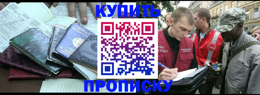 временная регистрация поиск в Курской области